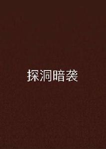 探洞暗襲 探洞暗襲