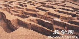 南越文化 南越文化