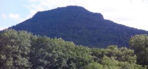 大青山景區[黑龍江] 