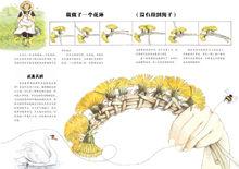 小蓮的花草四季