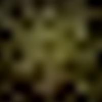 IC 1691 GALEX 彩色圖