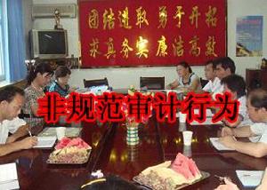 非規範審計行為