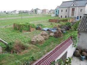 大鴛鴦村 大鴛鴦村