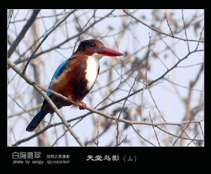 （圖）阿爾岡金省立公園
