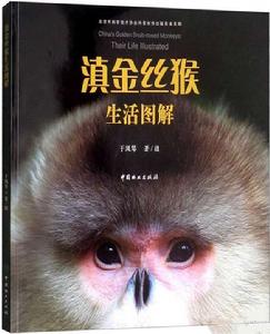 滇金絲猴生活圖解 滇金絲猴生活圖解