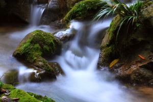 巴喇谷風景區 巴喇谷風景區