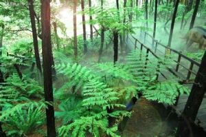 羊角山水度假森林 羊角山水度假森林