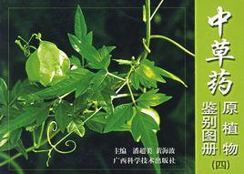 原植物鑑定 原植物鑑定