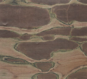 紅寶點 | Red Dot |