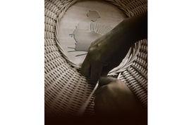 南海藤編 南海藤編