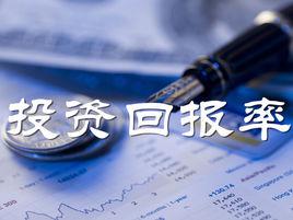 roi[投資回報率]