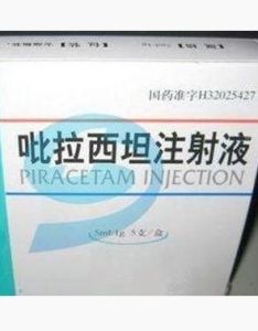 吡拉西坦注射液 吡拉西坦注射液