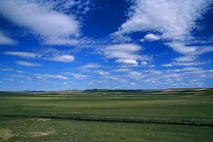 呼倫貝爾東部草原 呼倫貝爾東部草原