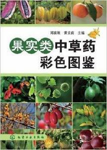 果實類中草藥彩色圖鑑 果實類中草藥彩色圖鑑