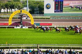 香港賽馬場 香港賽馬場