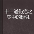 十二道傷疤之夢中的婚禮 十二道傷疤之夢中的婚禮