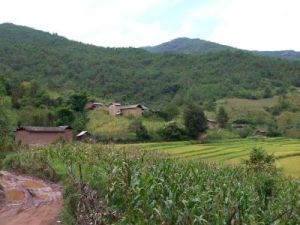 深毛草自然村 深毛草自然村