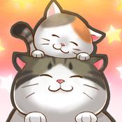 貓宅日記 貓宅日記