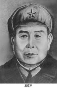 王道平[隴海支隊司令員]
