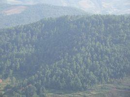 上雜力村 上雜力村