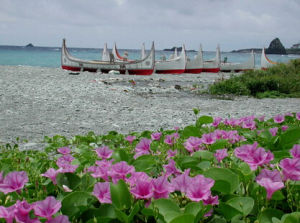 蘭嶼山礬 蘭嶼山礬