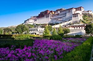 布達拉宮