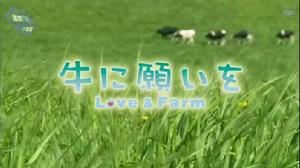 《向牛兒許願》