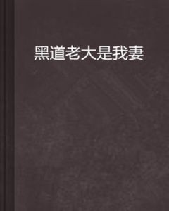 黑道老大是我妻 黑道老大是我妻