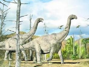 包魯巨龍 包魯巨龍