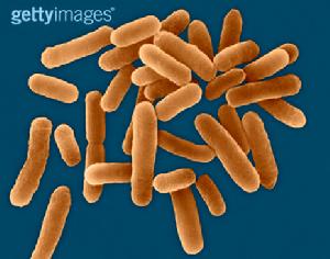 消散延遲性肺炎