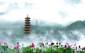 武義十里荷花 武義十里荷花