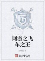 網遊之飛車之王 網遊之飛車之王