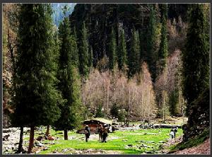 哈日圖熱格國家森林公園