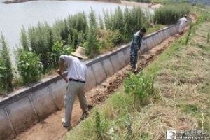 漁街市村 漁街市村