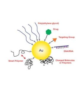 生物相容性 生物相容性