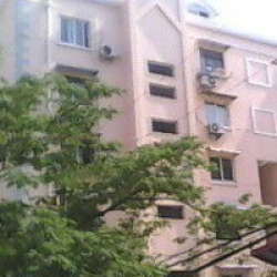 德州八村 德州八村