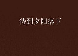 待到夕陽落下 待到夕陽落下