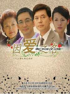 因愛之名[高翊浚執導電視劇]