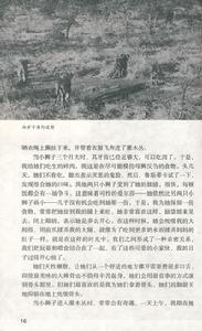 （圖）《生而自由》