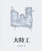 大特工 大特工