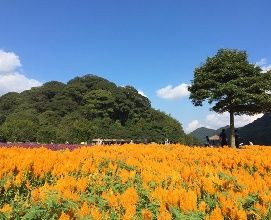 石門國家森林公園