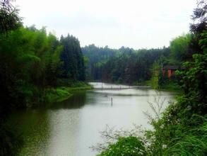 滾子坪風景區 滾子坪風景區