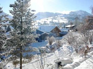 北歐的冬季 北歐的冬季