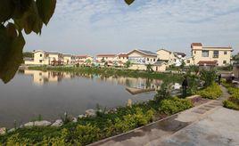 新村[雲南省普洱鎮沅縣者東鎮新村村民委員會]