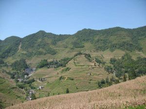 皂角樹小寨自然村 皂角樹小寨自然村