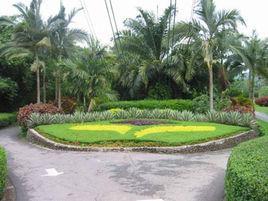 大自然花園 大自然花園