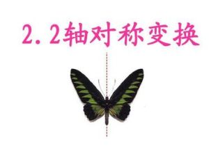 軸對稱變換 軸對稱變換