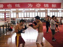 中國拳擊隊 中國拳擊隊