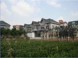 直河行政村 直河行政村