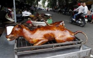 亞洲狗肉文化